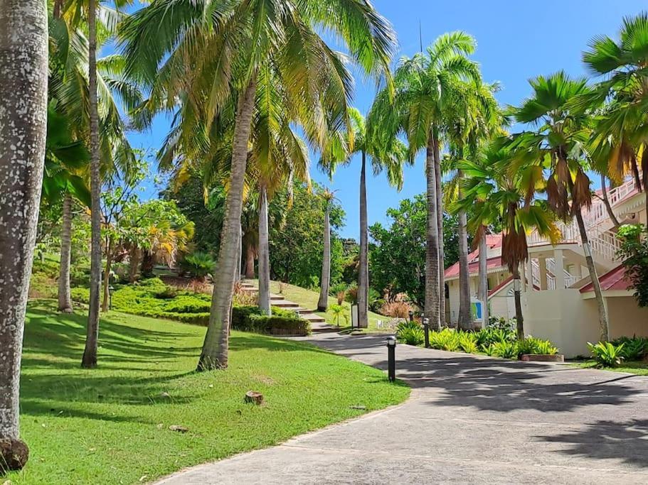 Studio Avec Vue Mer Exceptionnelle, Plage Et Piscine, Village Vacances Sainte-Anne Exterior photo